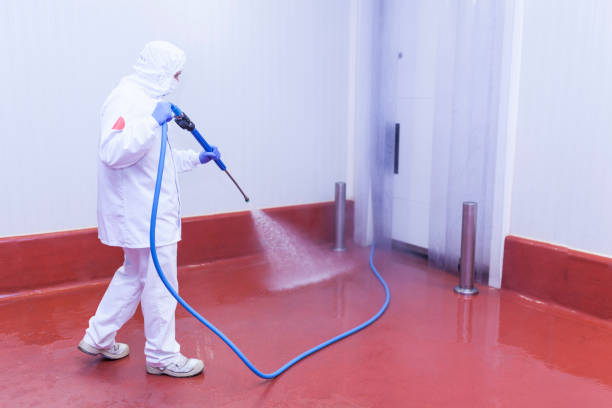 Best House Exterior Washing  in Warsaw, KY